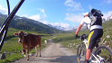 vlcsnap-2013-07-24-18h46m36s30