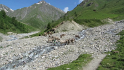 vlcsnap-2013-07-24-18h52m06s27
