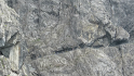 vlcsnap-2013-07-24-18h56m29s103