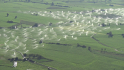 vlcsnap-2013-07-24-19h02m03s109