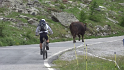 vlcsnap-2013-07-24-19h04m30s46