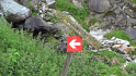 vlcsnap-2013-07-29-20h08m19s195