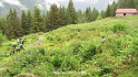 vlcsnap-2013-07-29-20h10m10s26