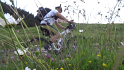vlcsnap-2013-07-29-20h17m52s30