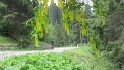 vlcsnap-2013-07-29-20h17m55s68