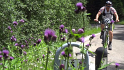 vlcsnap-2013-07-29-20h18m01s129