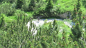 vlcsnap-2013-07-29-20h20m29s64