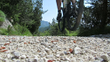 vlcsnap-2013-07-29-20h23m40s183