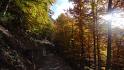 MTB-Rundtour Tarvis - Lussari - Florianca - Tarvis